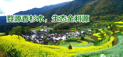 金利源板材/金品質(zhì) 源生態(tài).從源頭精挑細(xì)選，為品質(zhì)保駕護航——中國板材十大品牌品質(zhì)篇