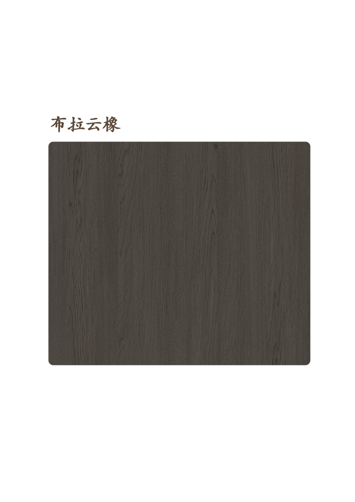 布拉云橡